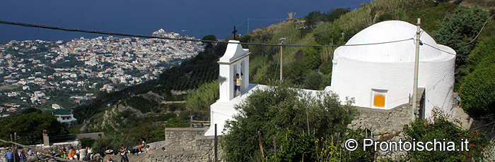 Fede, natura e gastronomia alle pendici del Monte Epomeo