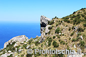 Ferragosto alla Falanga. Magia dell'isola d'Ischia 22