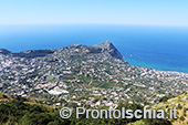 Ferragosto alla Falanga. Magia dell'isola d'Ischia 23