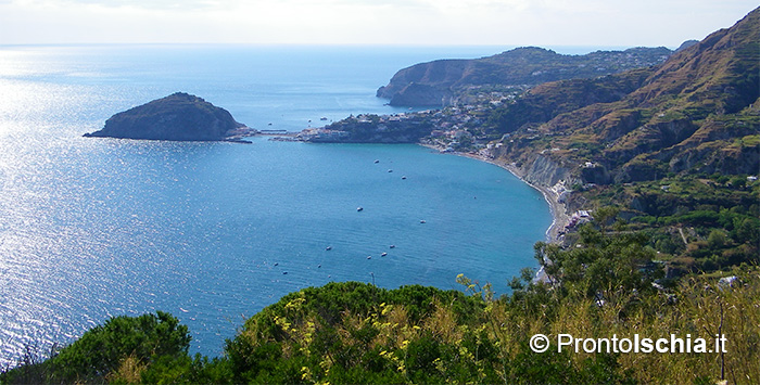 Il settimo comune dell'isola d'Ischia