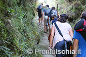 Escursioni a Ischia: tramonto al Monte Epomeo 19