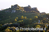 Escursioni a Ischia: tramonto al Monte Epomeo 37