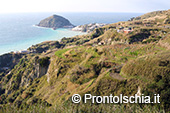 Camminare a Ischia nella natura 11