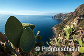 Viaggiare da soli, Ischia meta ideale 3