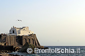 La processione in mare di San Vito Martire 5