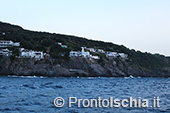 La processione in mare di San Vito Martire 25