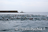 Nuota Forio, mezzo fondo di nuoto dell'Isola d'Ischia 6