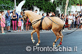 Le foto della 36^ edizione della Festa di Sant'Alessandro 65