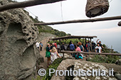 Ischia, Andar per Cantine: Frassitelli al tramonto 12